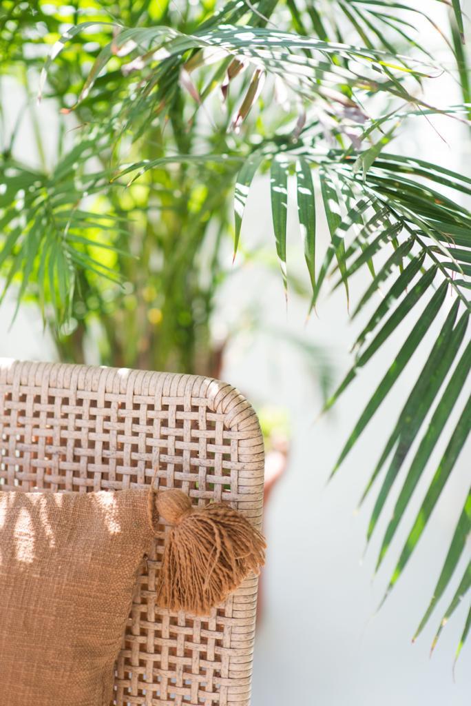 Apartamento · Ibiza · 1 hab.