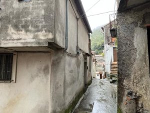 Apartment in Orsomarso - Image 2