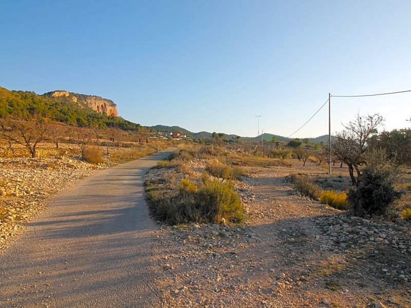 Land in Monovar - Resale