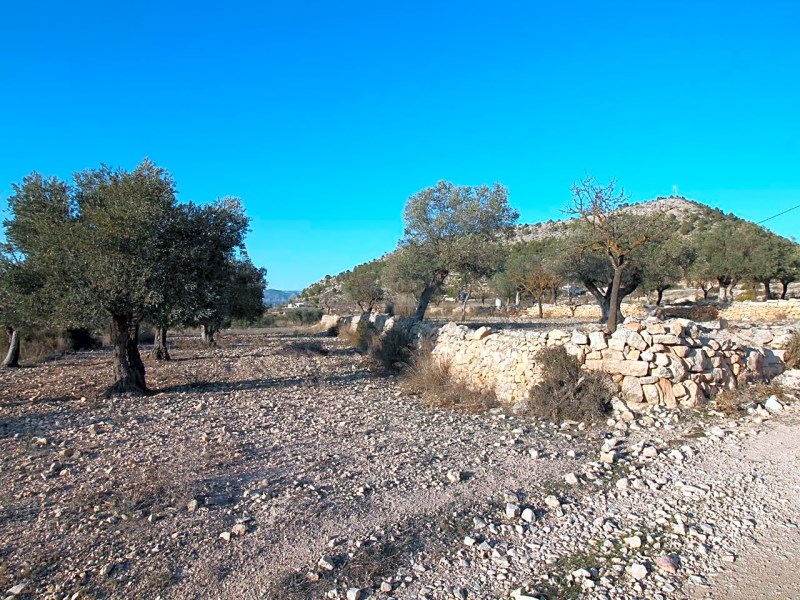 Land in Monovar - Resale