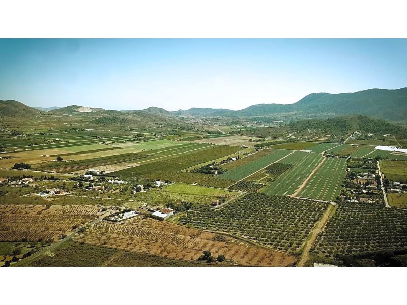 Land in Hondon De Las Nieves - Resale