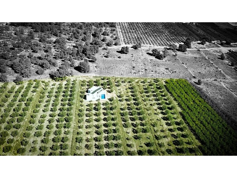 Land in Hondon De Las Nieves - Resale