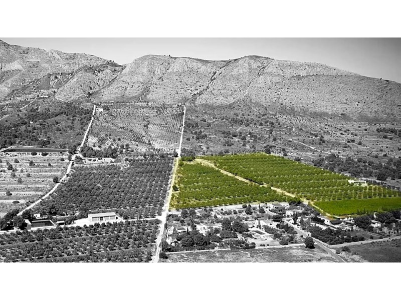 Land in Hondon De Las Nieves - Resale