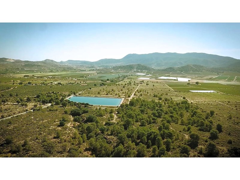 Land in Hondon De Las Nieves - Resale