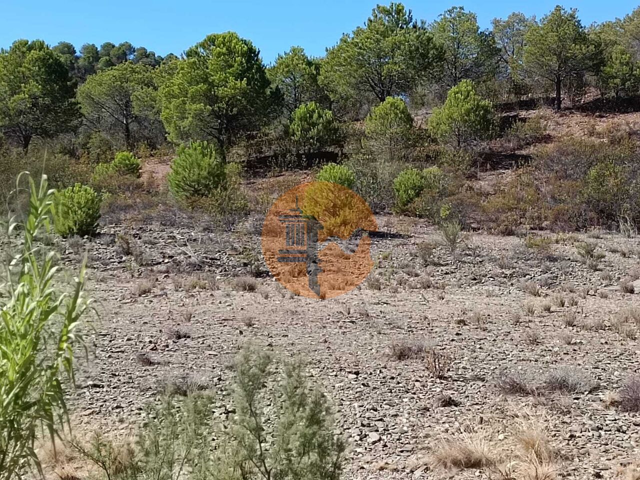 Land in Alcoutim - view 1