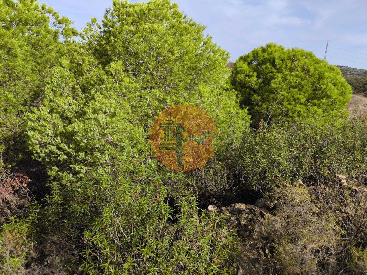 Land in Castro Marim - Image 3