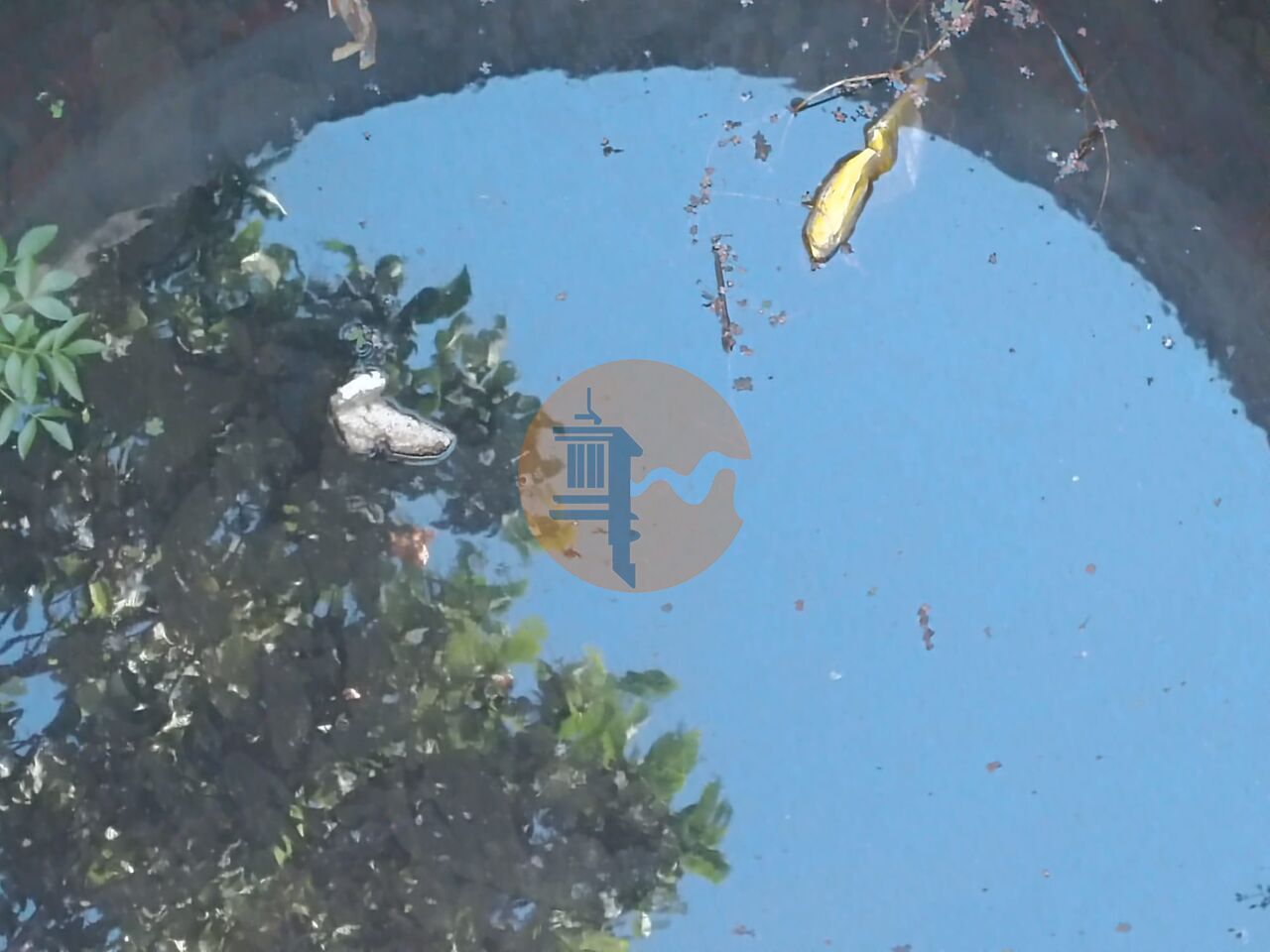 Land in Castro Marim - Image 2