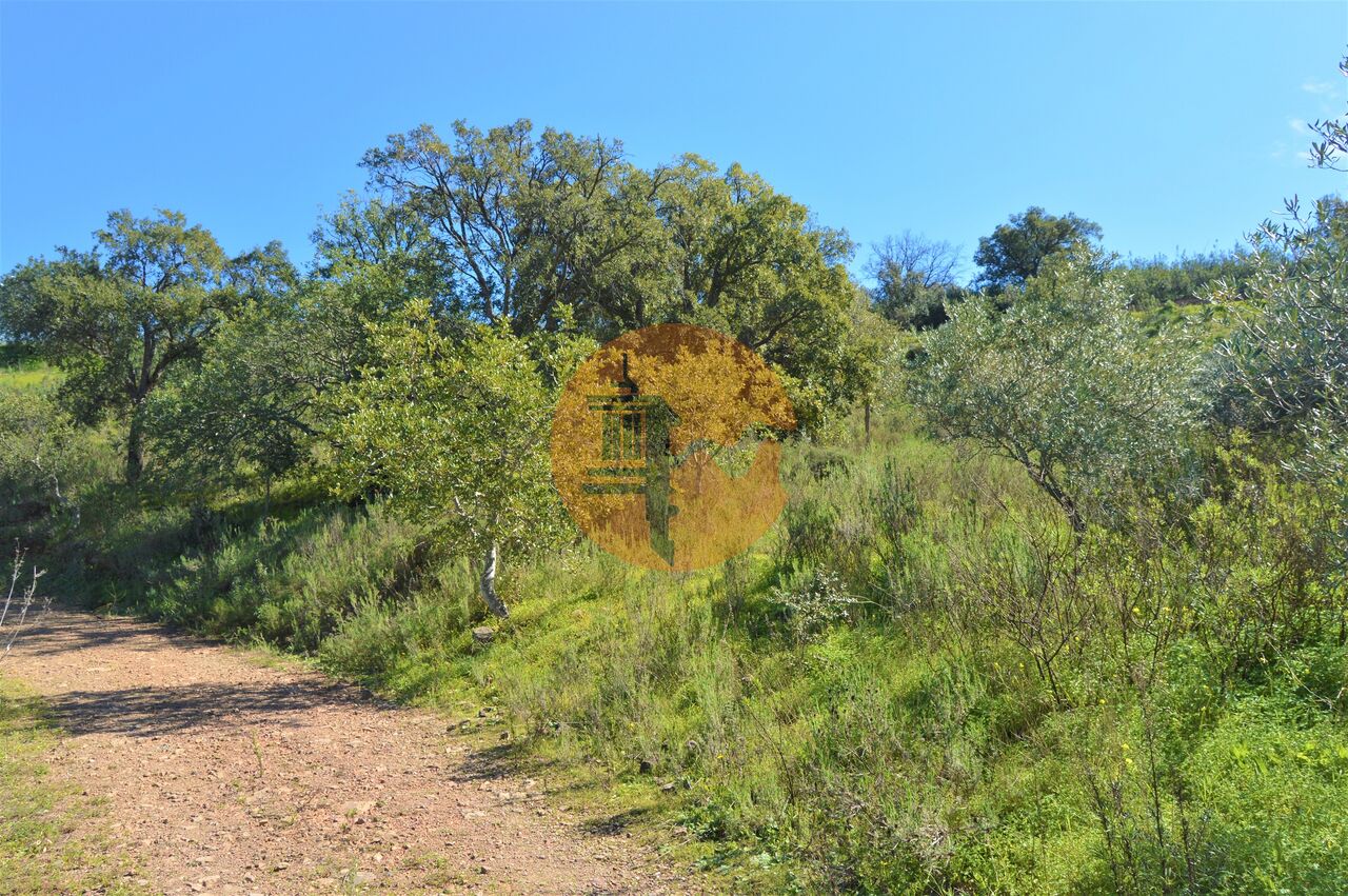 Land in Santa Catarina da Fonte do Bispo - Image 2