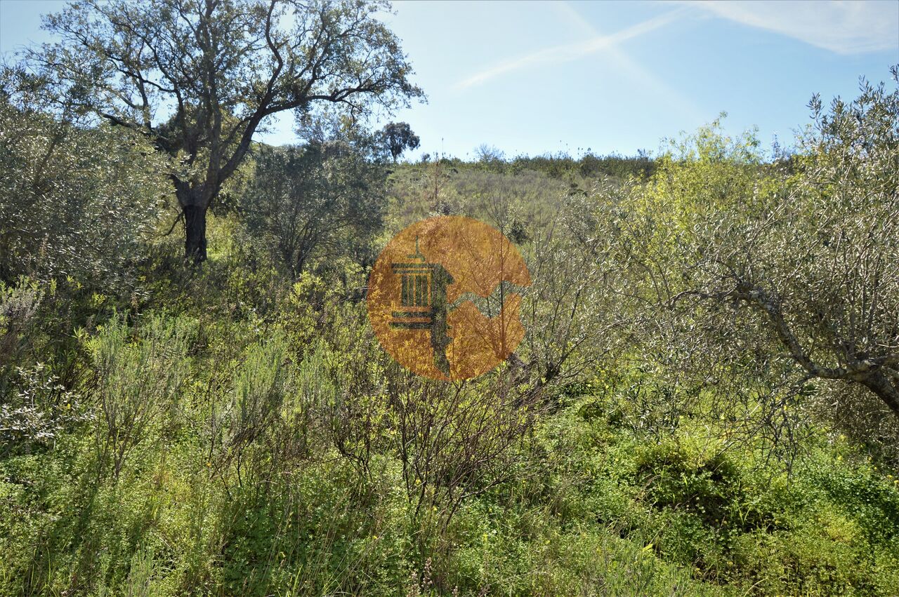 Land in Santa Catarina da Fonte do Bispo - Image 3