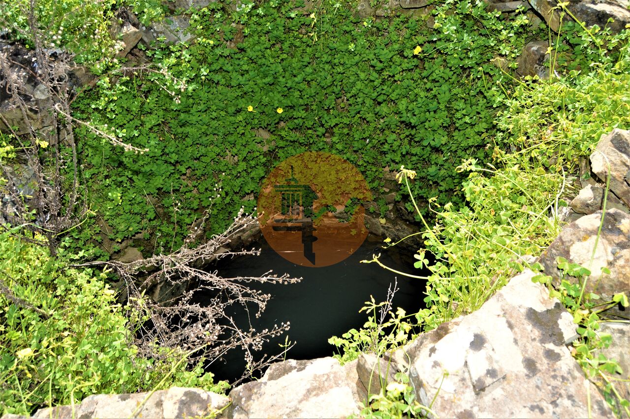 Land in Santa Catarina da Fonte do Bispo - Image 4