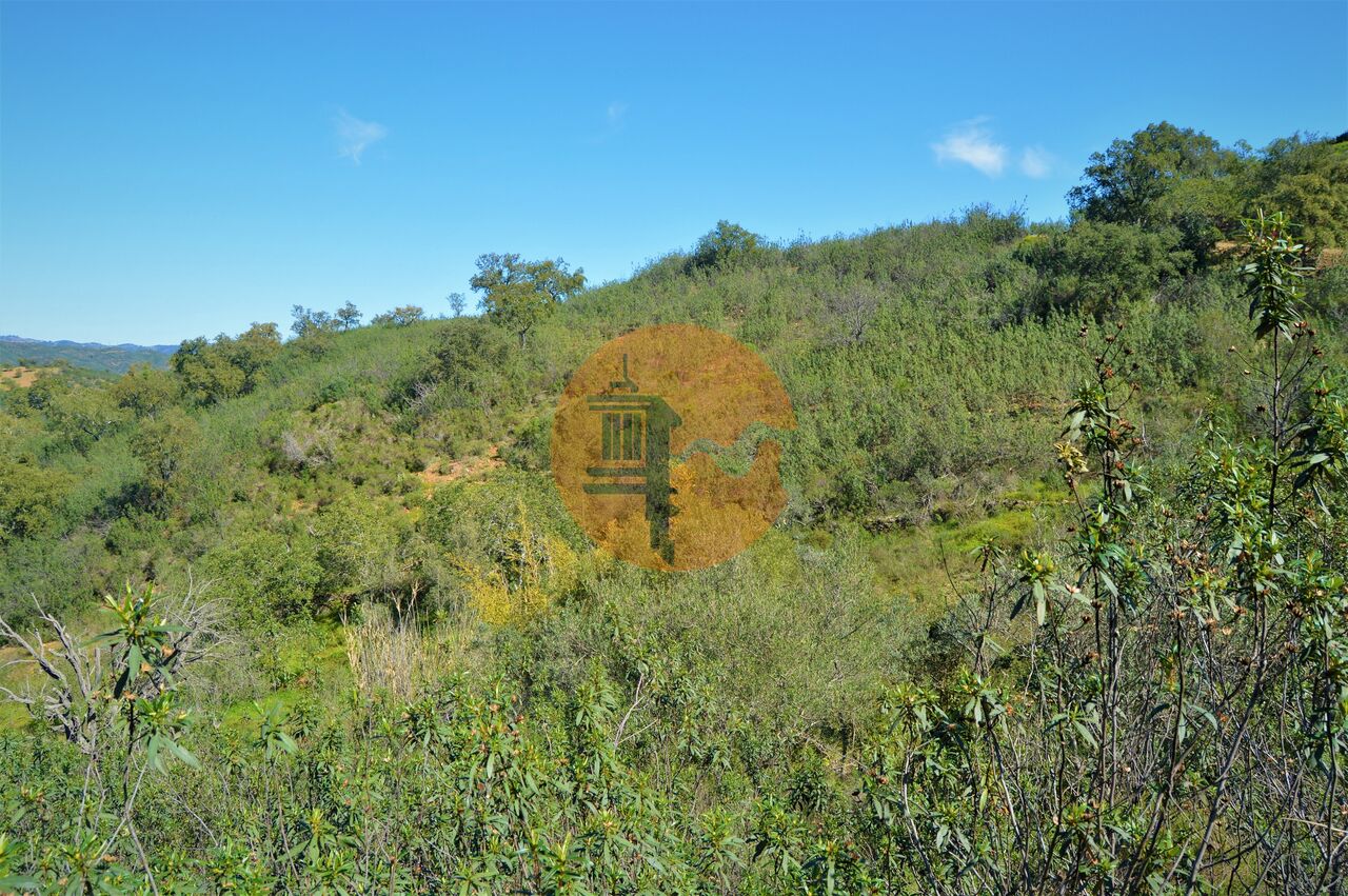 Land in Santa Catarina da Fonte do Bispo - Image 5