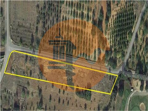 Land in Conceicao - view 1