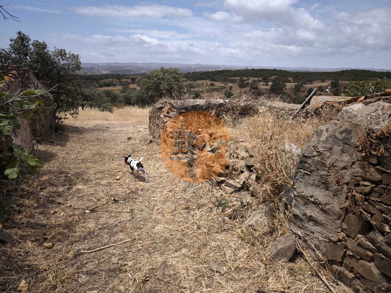 Villa in Castro Marim - Image 3