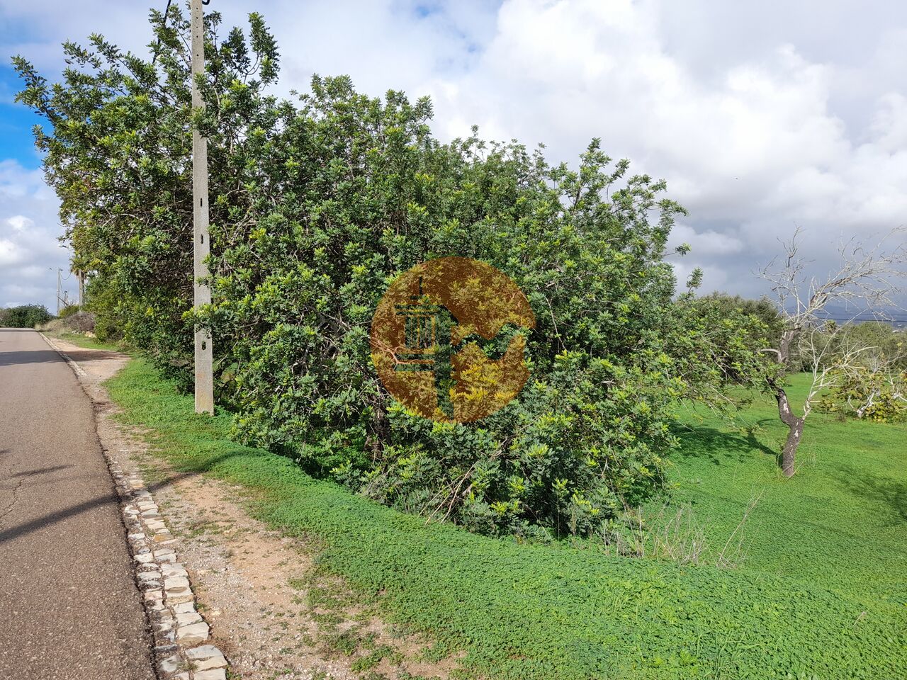 Land in Olhao - Image 2