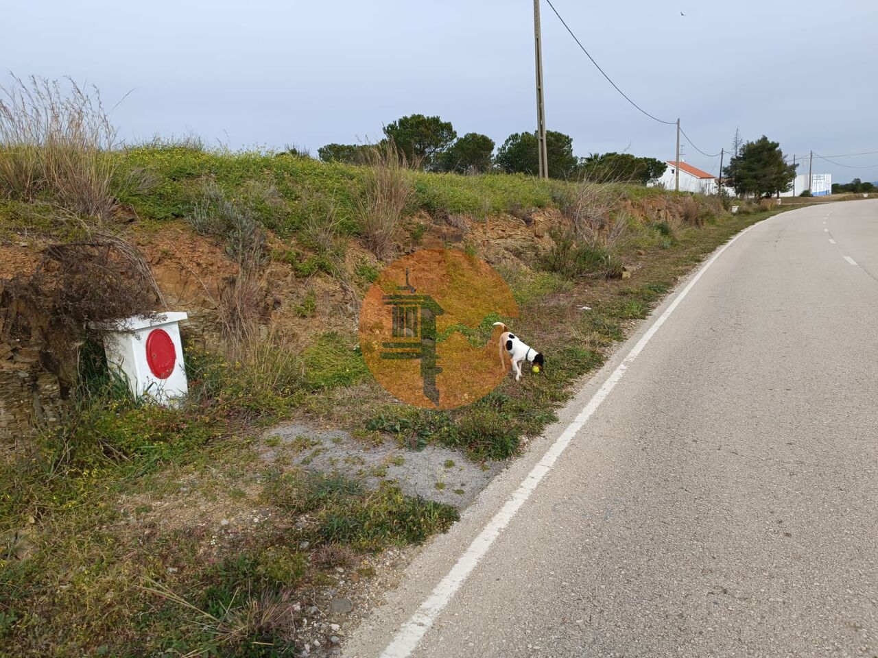Land in Castro Marim - Image 3