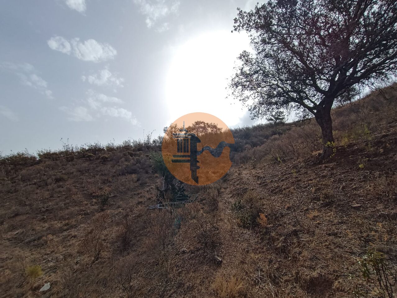 Land in Castro Marim - Image 3