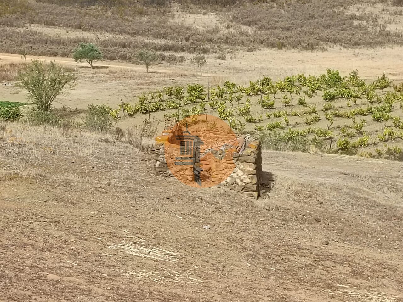 Land in Castro Marim - Image 4