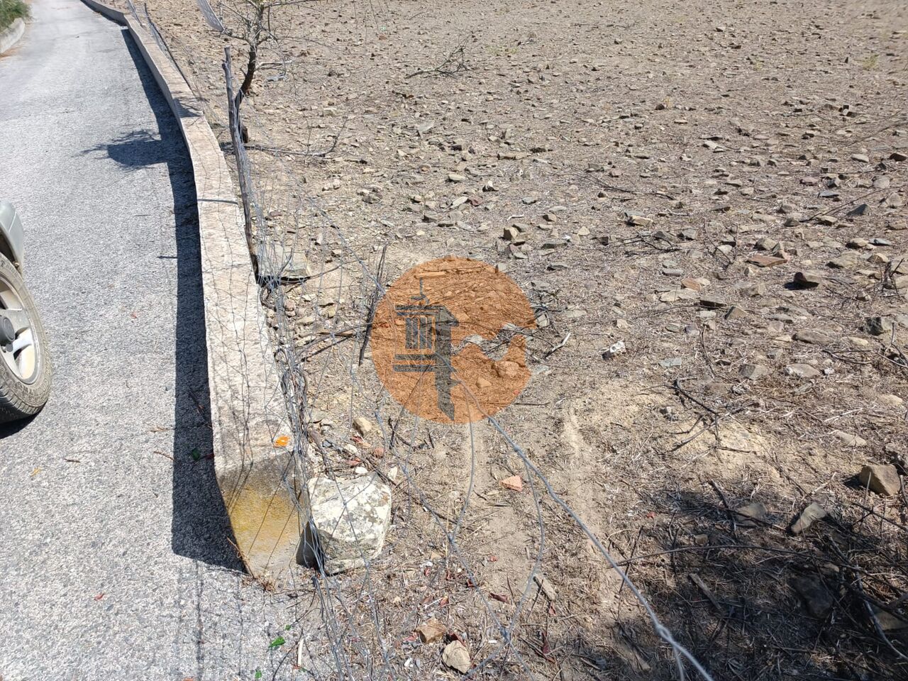 Land in Alcoutim - Image 4