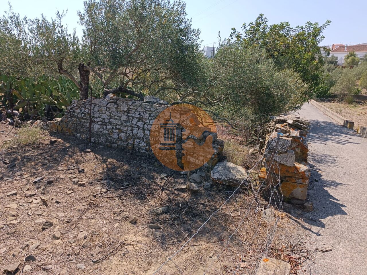 Land in Alcoutim - Image 5