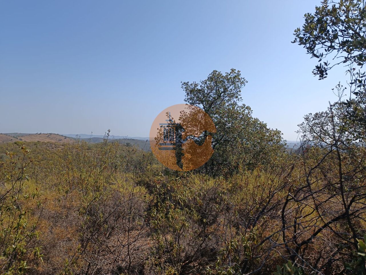 Land in Alcoutim - view 1