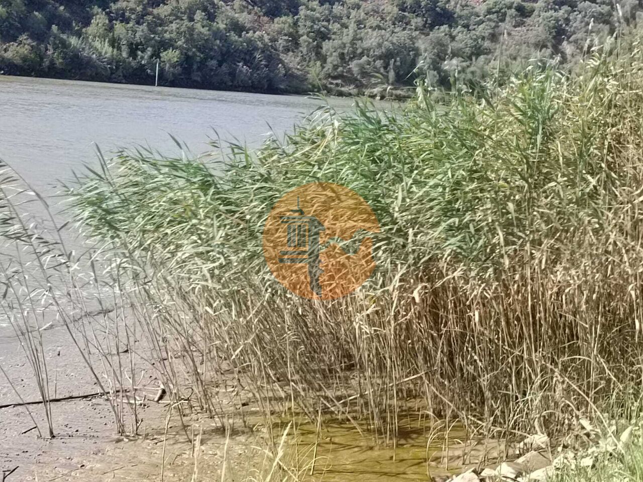 Land in Alcoutim - view 1