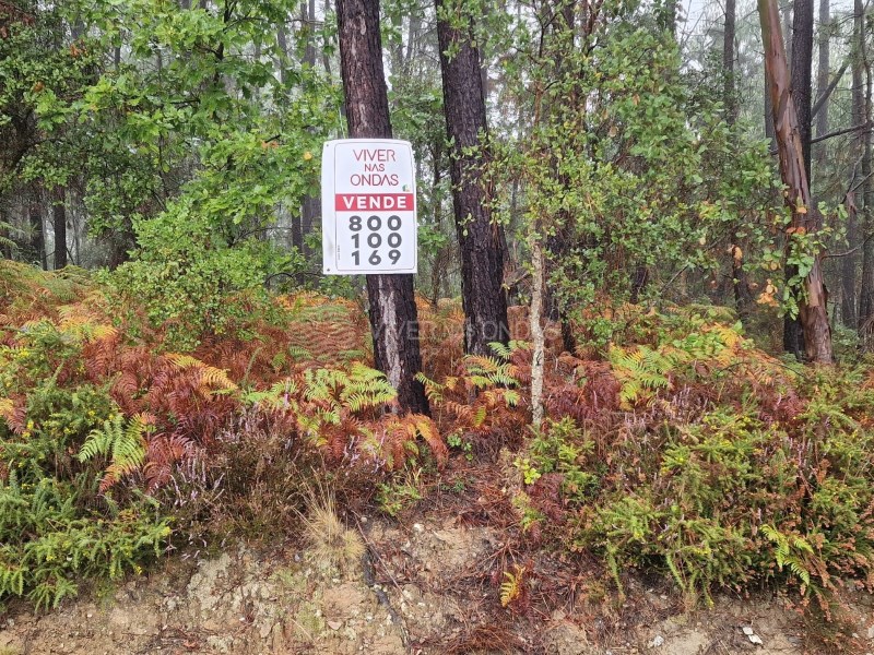 Land in Nesperal - Image 3