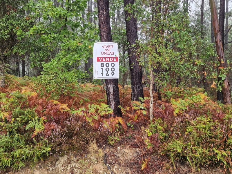 Land in Nesperal - Image 2