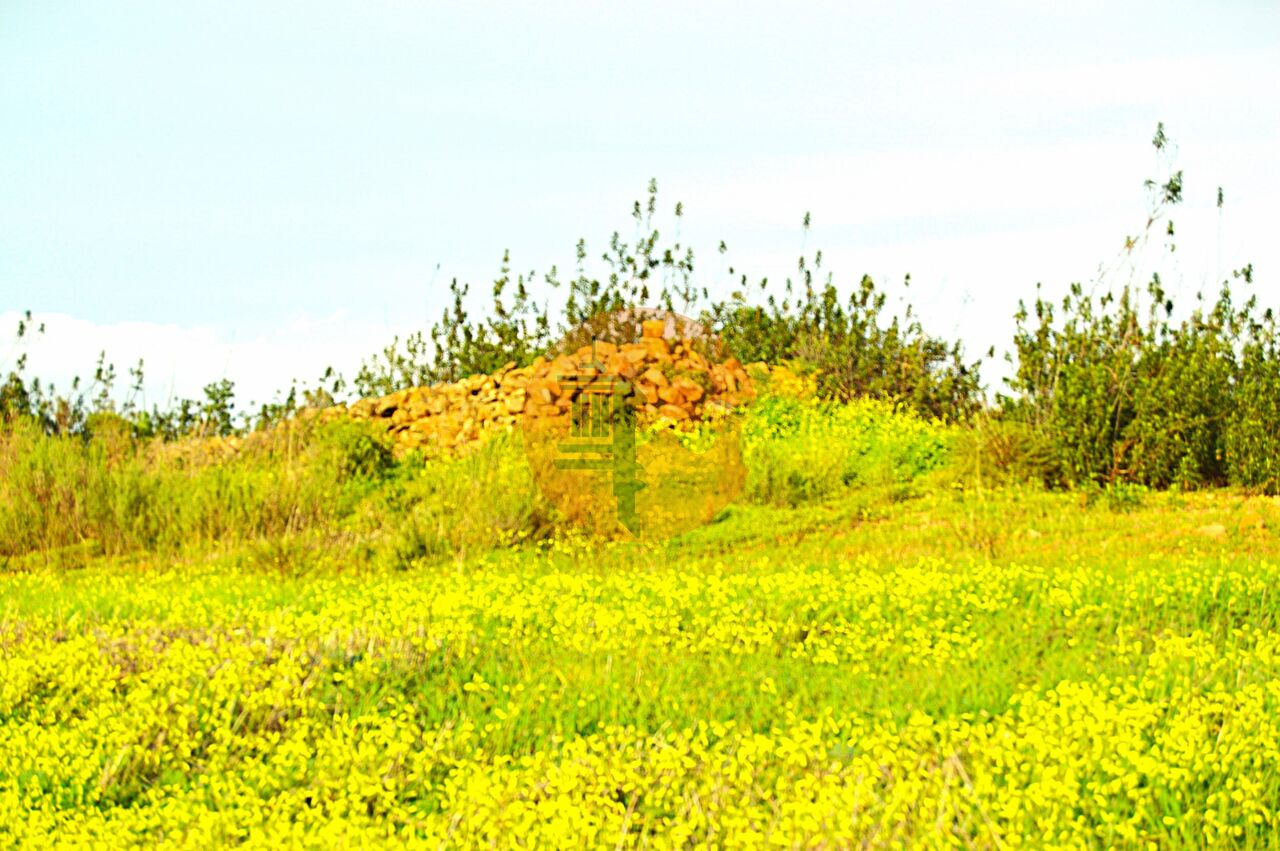 Land in Tavira - view 1