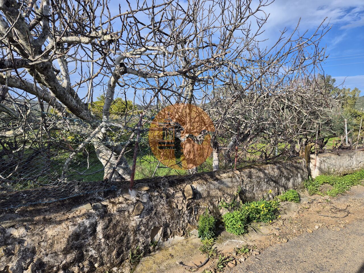 Land in Alcoutim - Image 3