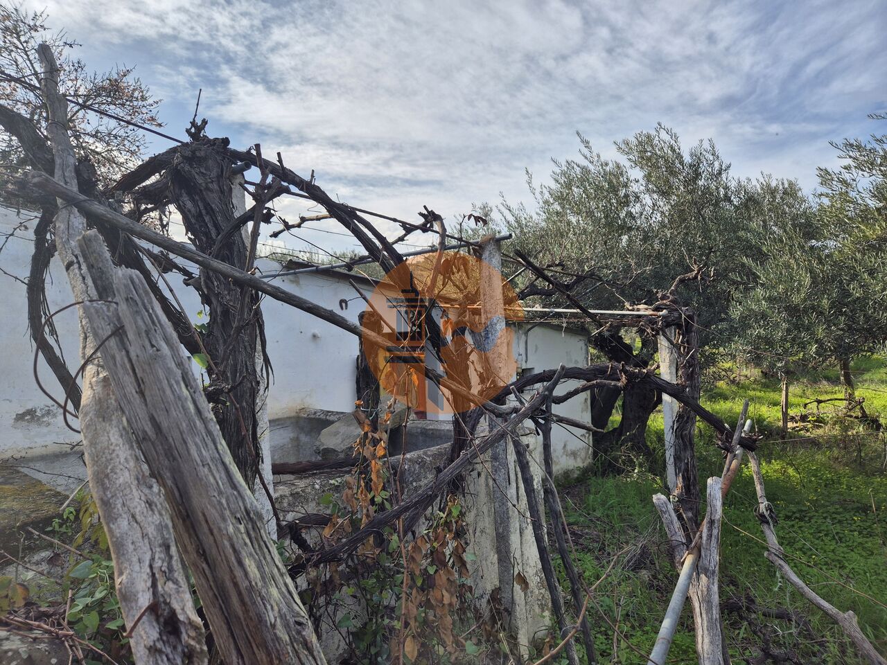 Land in Alcoutim - Image 5