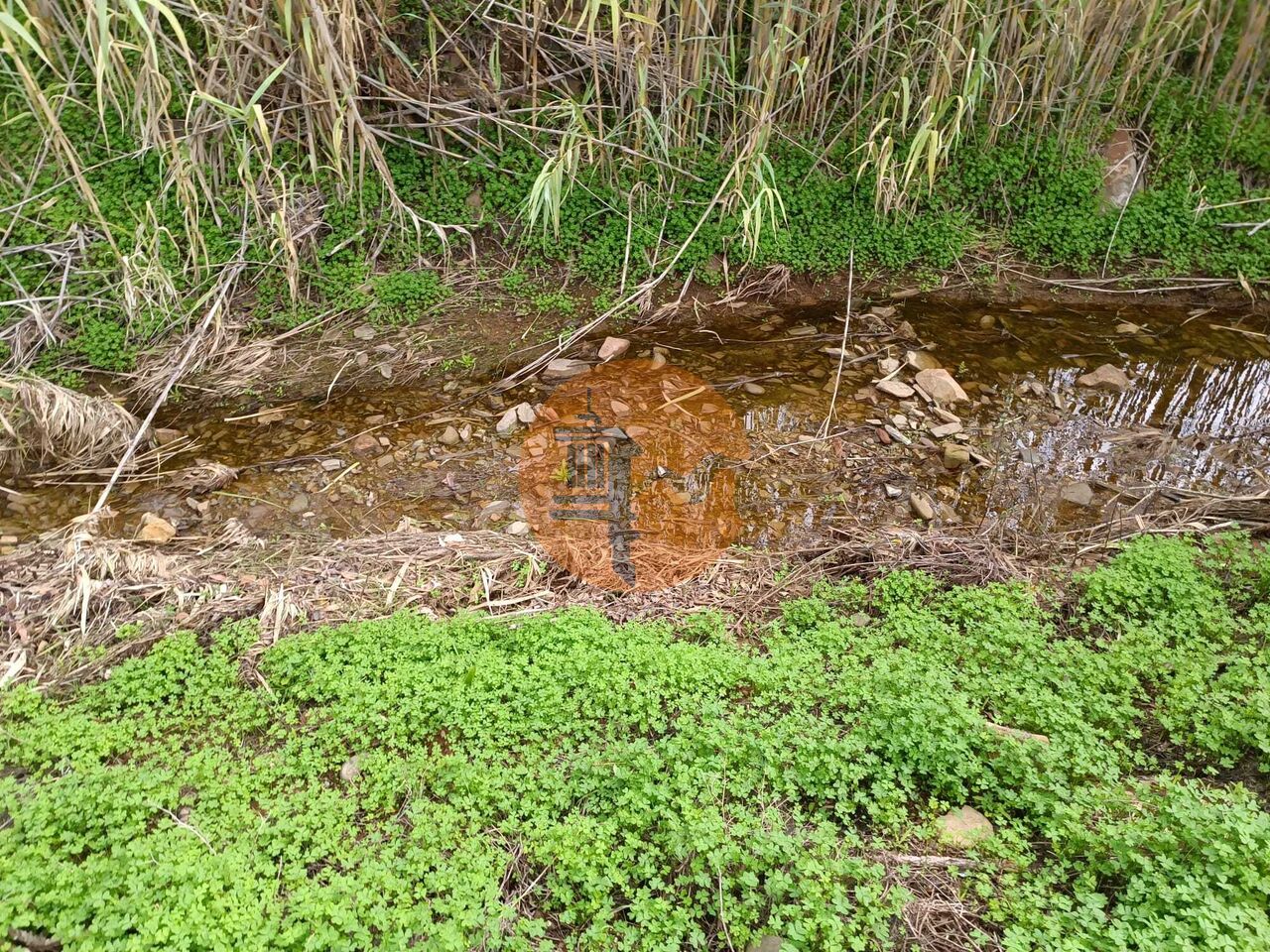 Land in Castro Marim - view 1