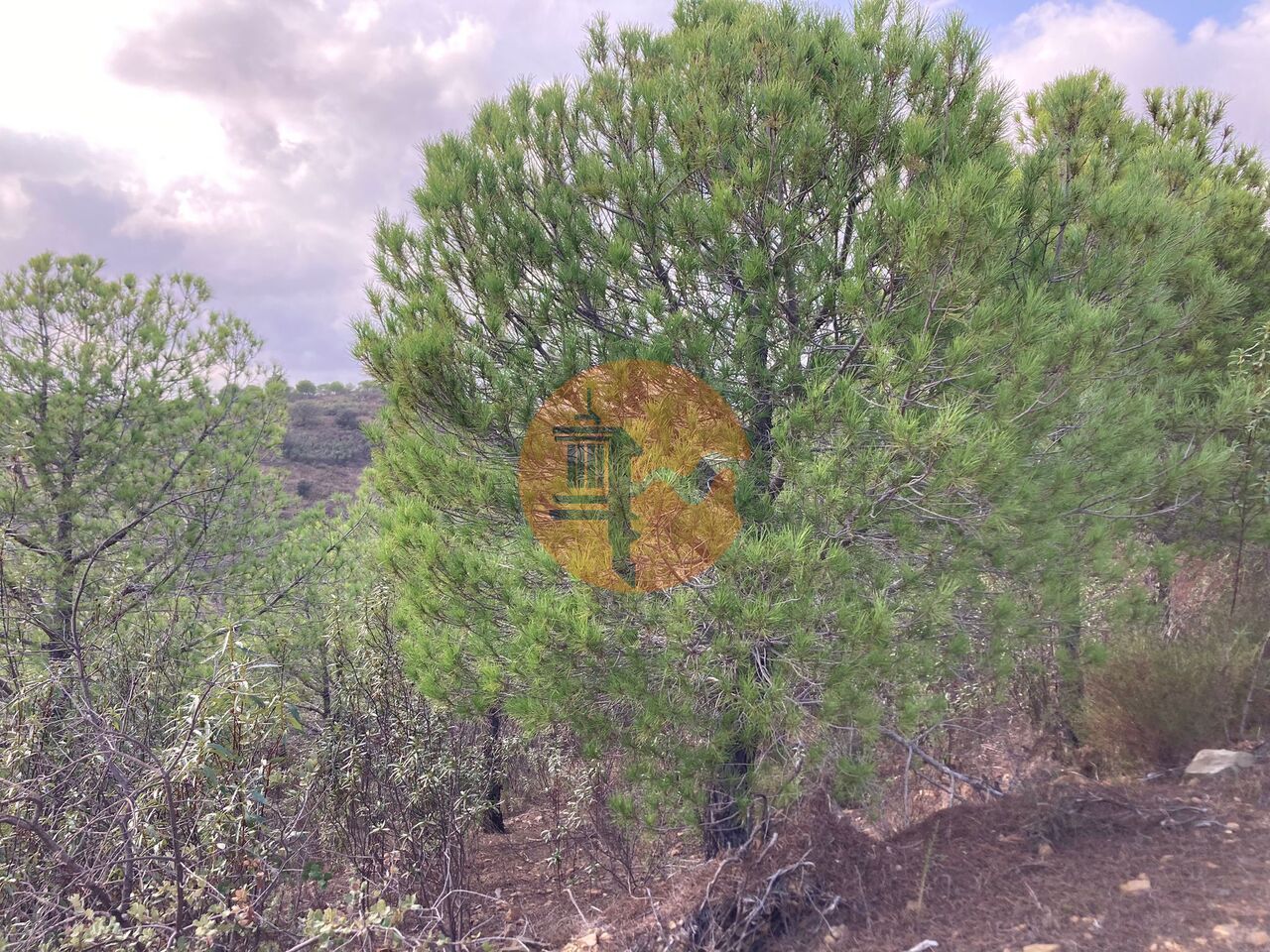 Land in Castro Marim - view 1