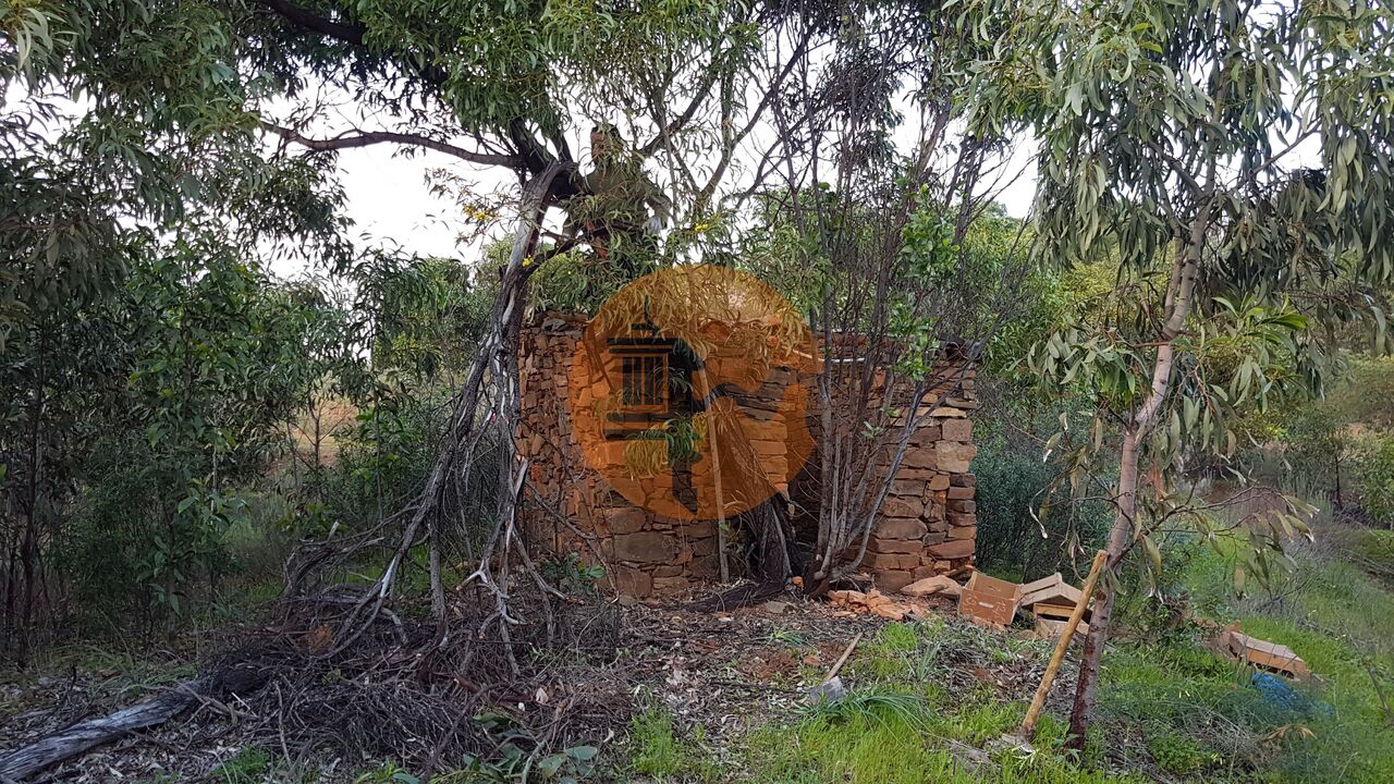 Land in Conceicao - view 1