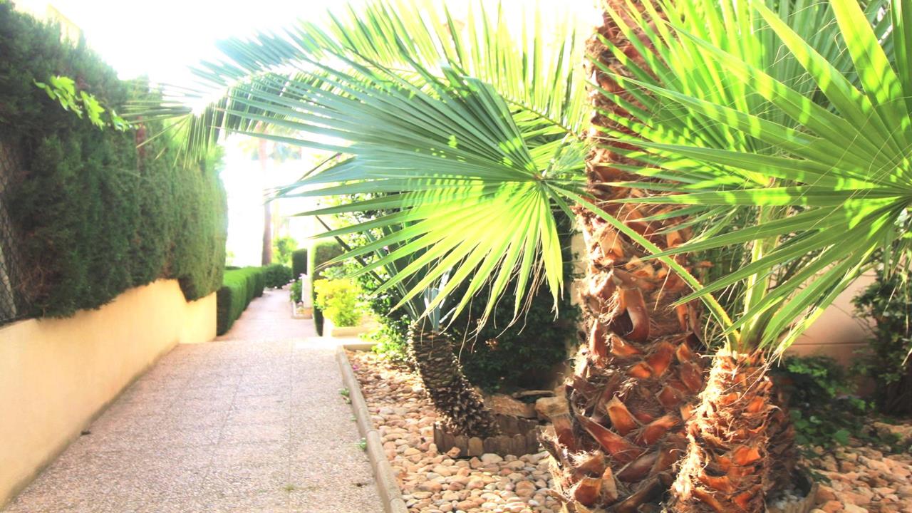 Appartement Torrevieja Costa Blanca Zuid Spanje