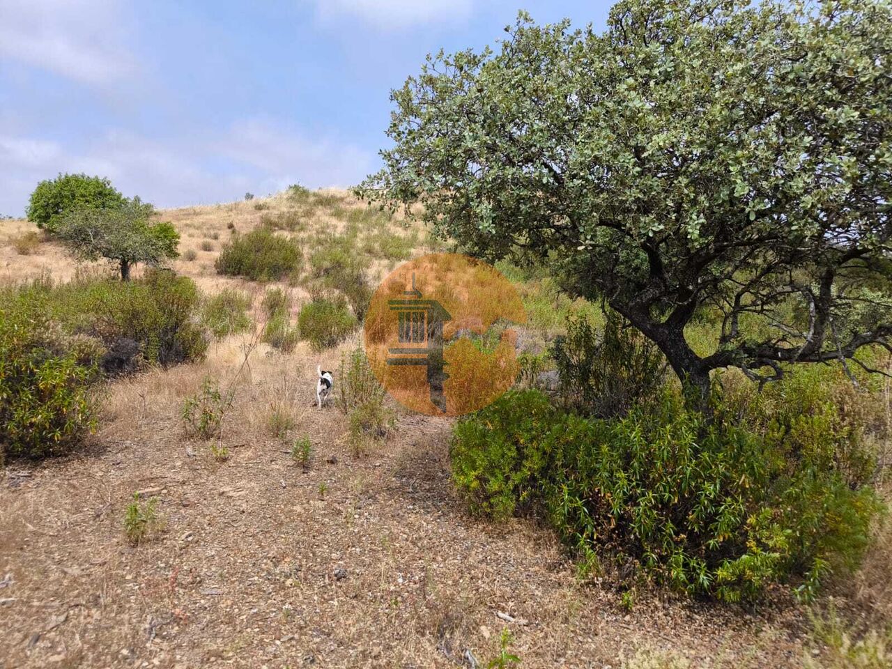 Land in Castro Marim - Image 4