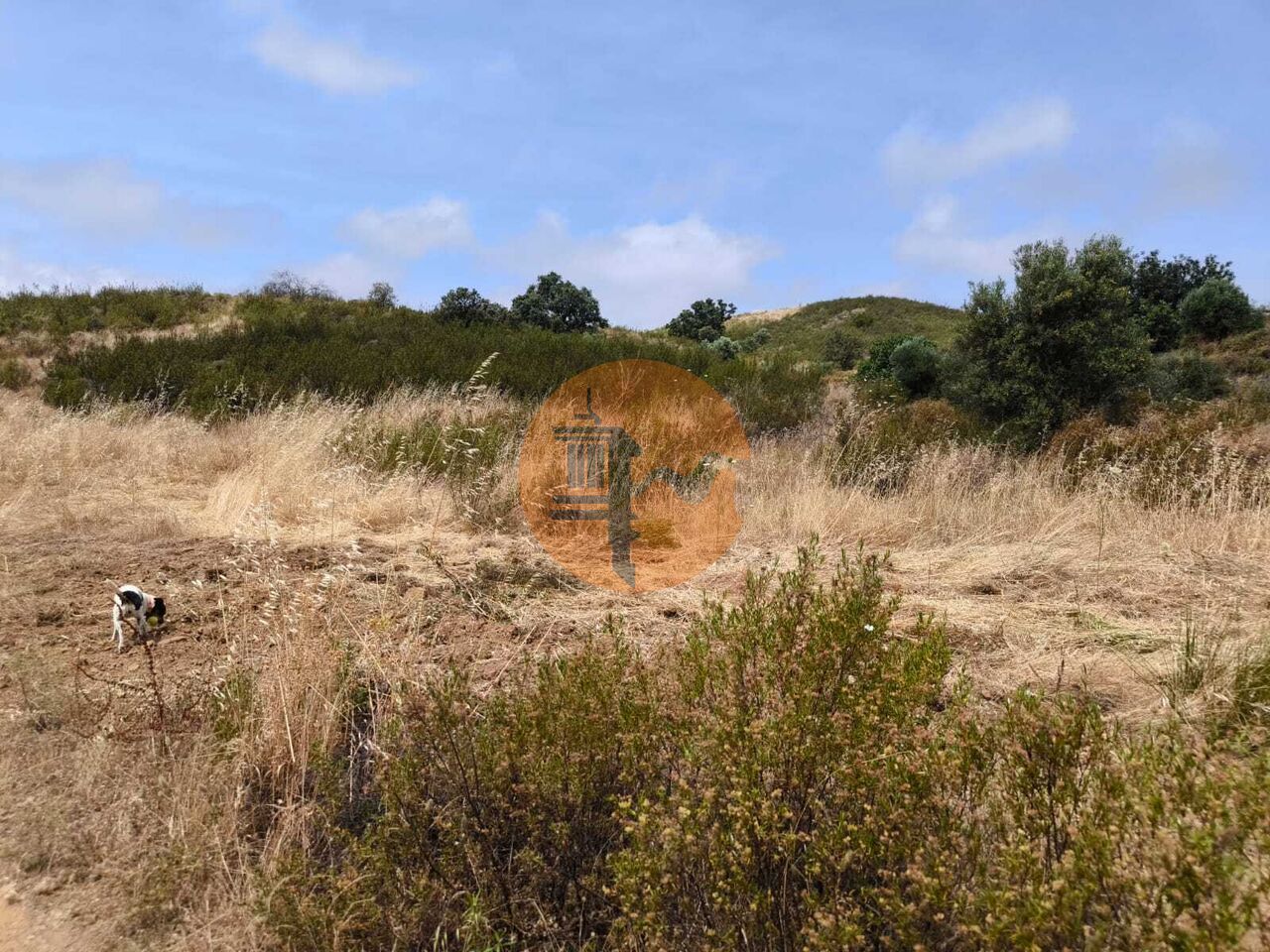 Land in Castro Marim - Image 5