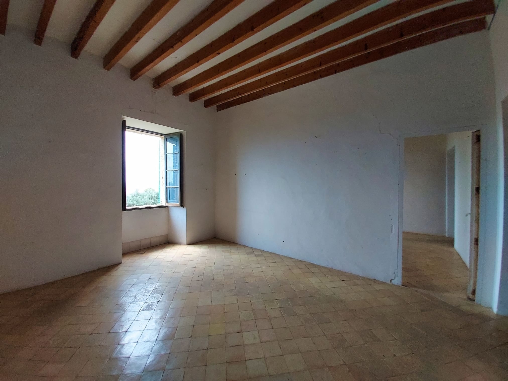 Property 29