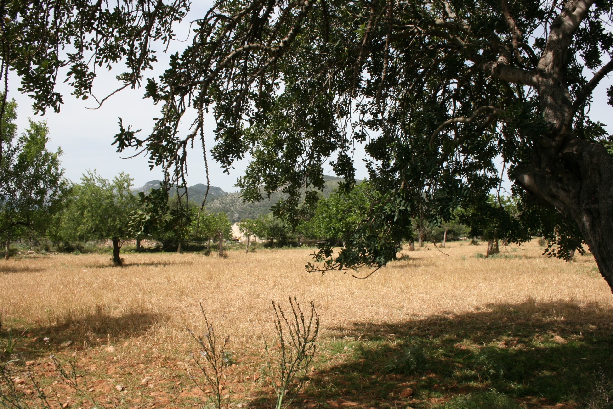 Propiedad 9