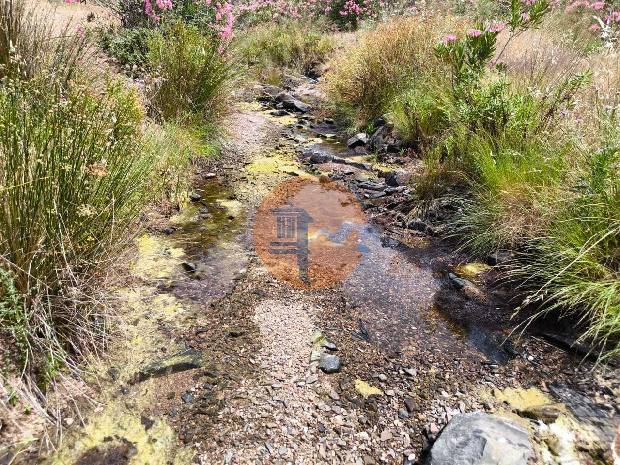 Land in Vila Nova de Cacela - view 1
