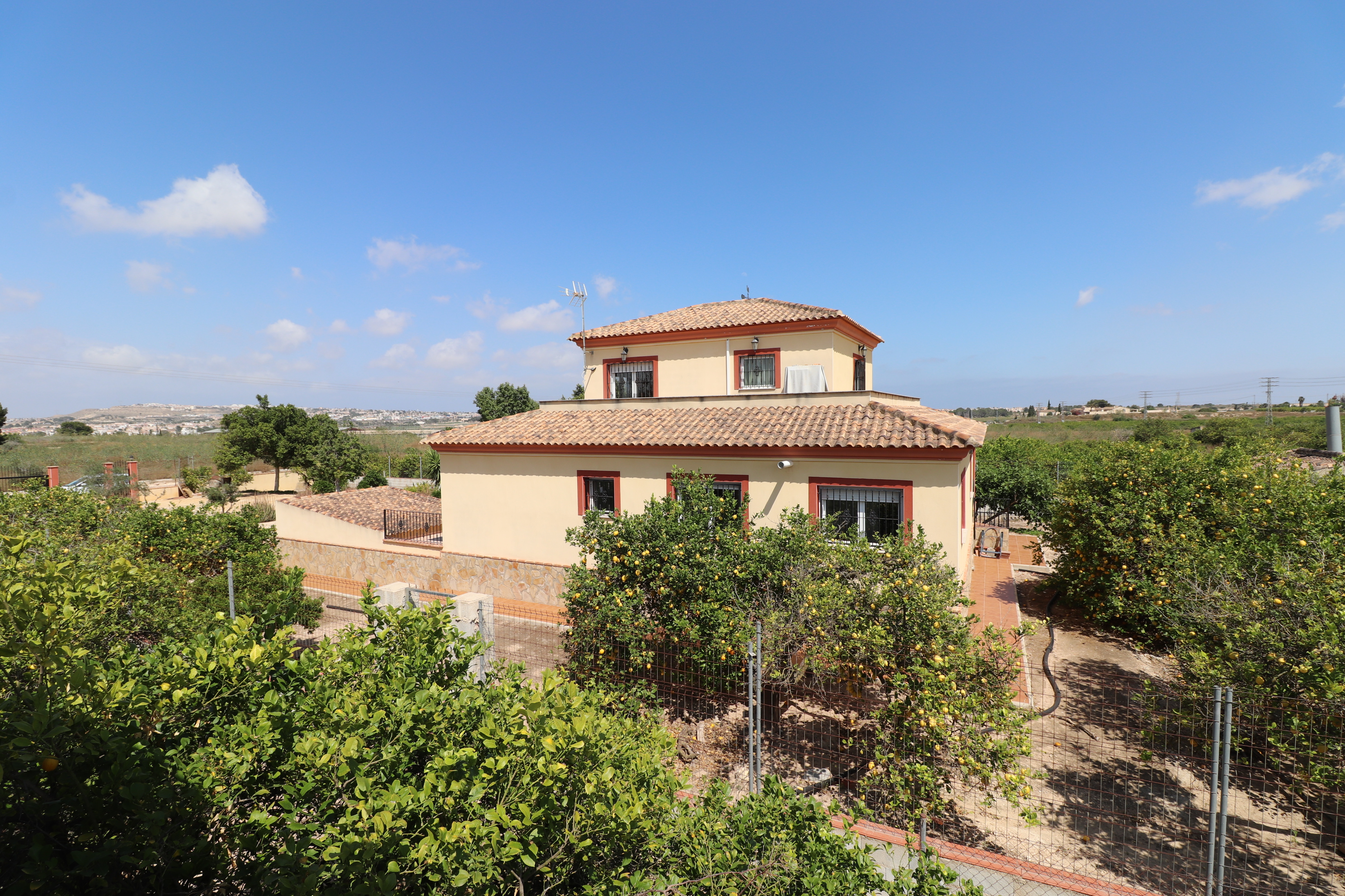 Detached Villa Algorfa Costa Blanca South Spain