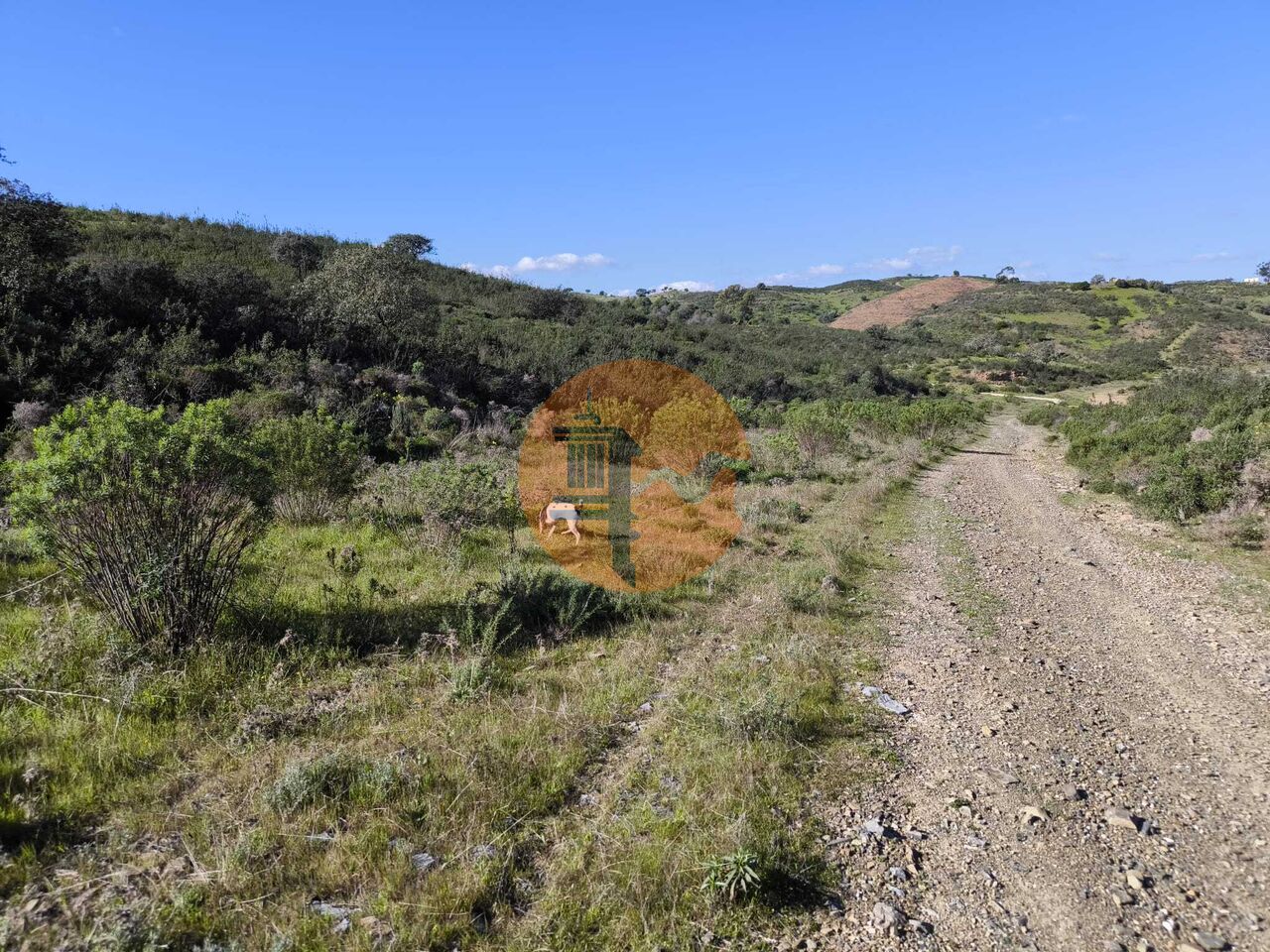 Land in Castro Marim - view 1