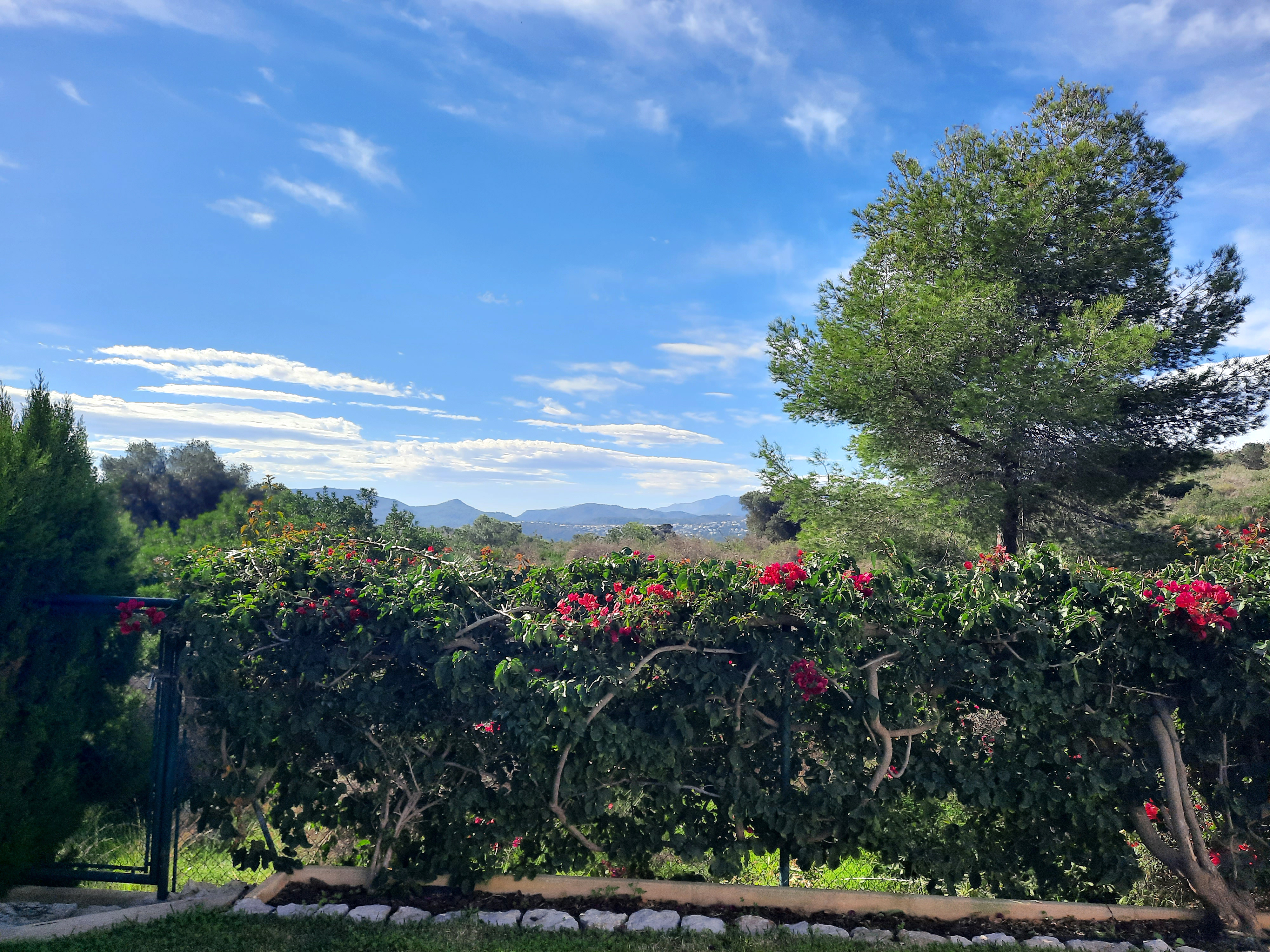 Verkauf. Villa in Denia