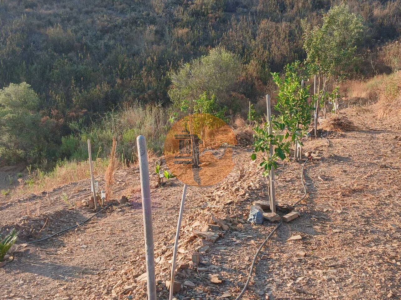 Land in Castro Marim - Image 3