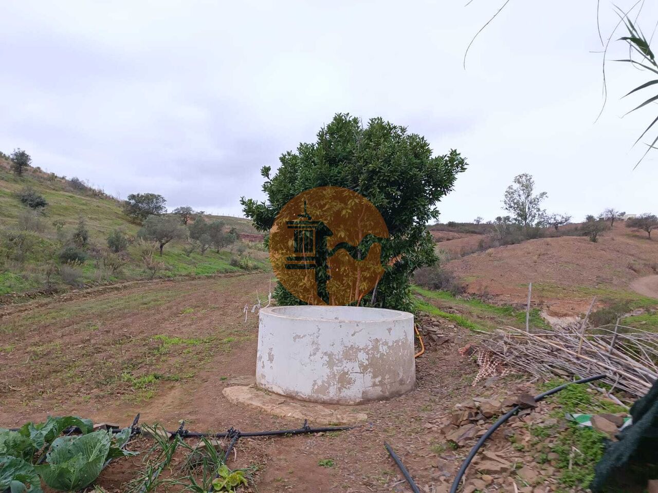 Land in Castro Marim - Image 5