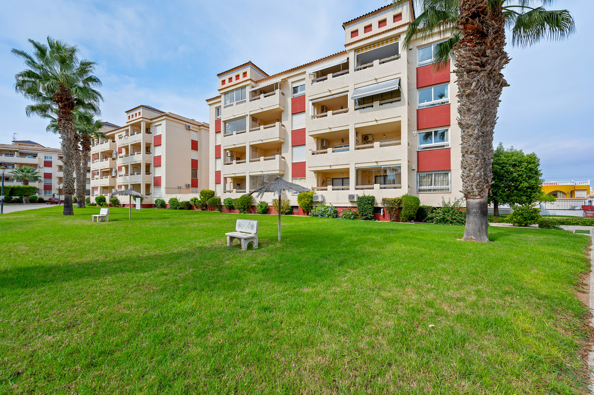 Apartment in Playa Flamenca - view 1