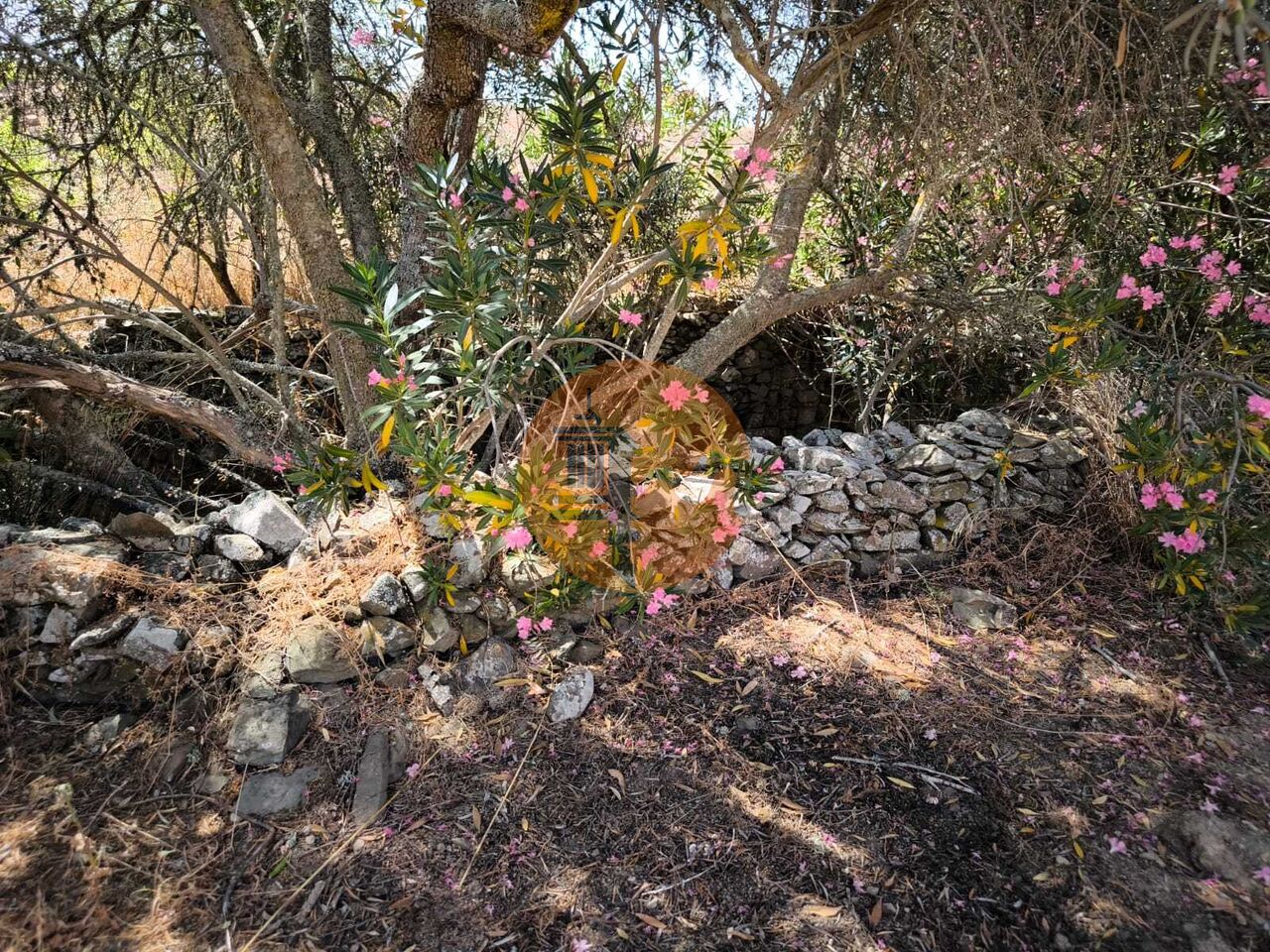 Land in Alcoutim - Image 3