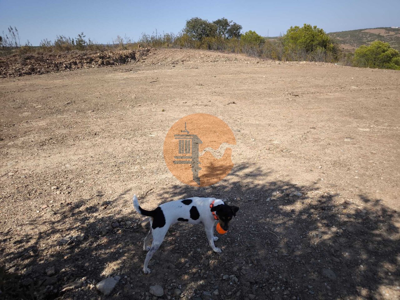 Land in Castro Marim - Image 3