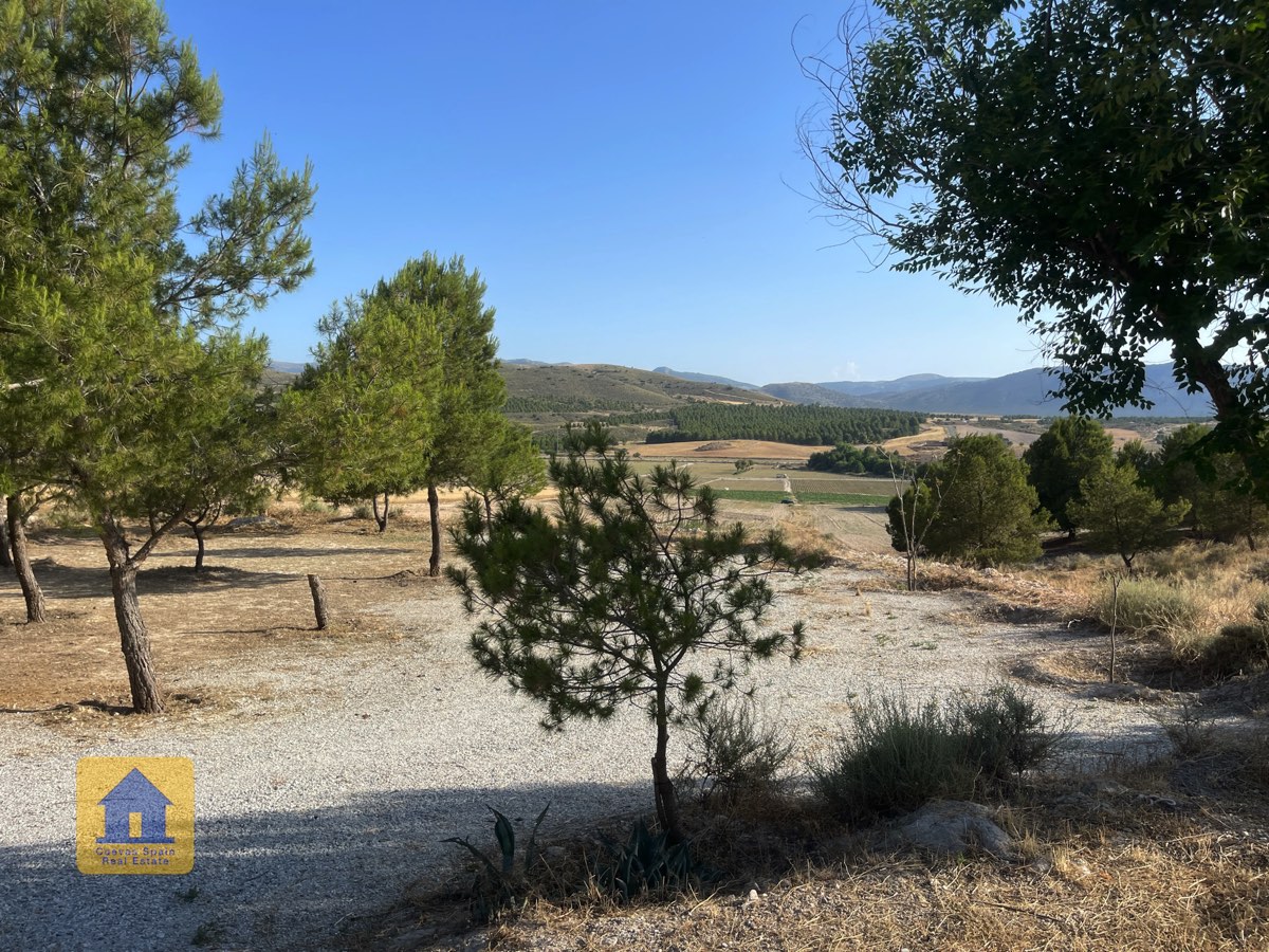 House in Venta de Micena - Image 4