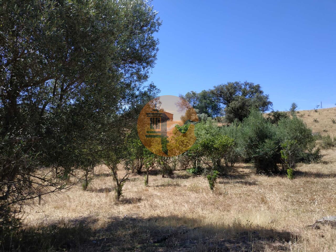 Villa in Castro Marim - Image 2