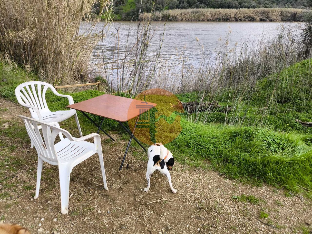 Land in Alcoutim - Image 3